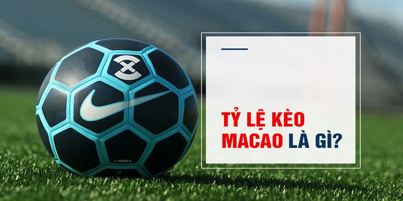 mu888 casino ĐĂNG KÝ